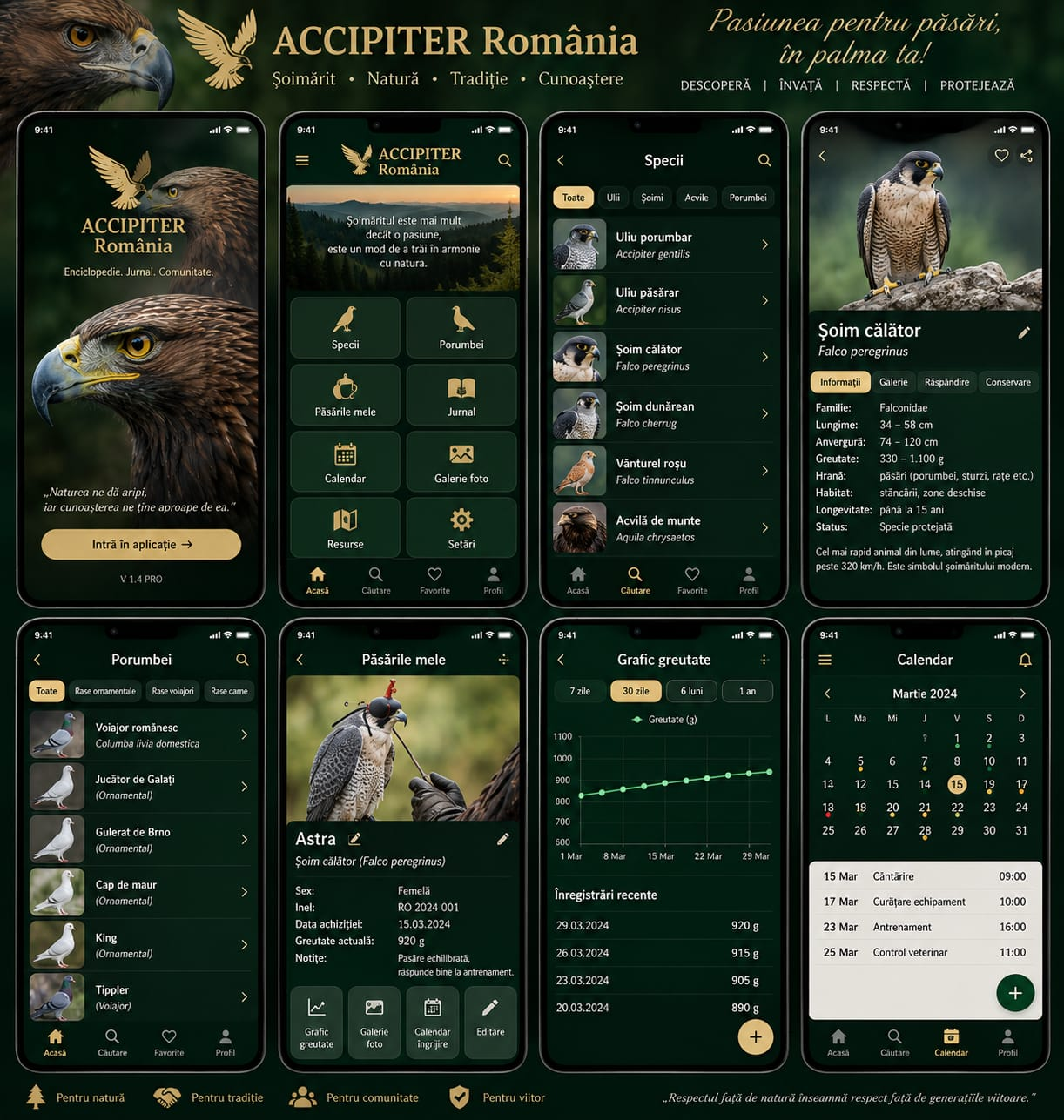Galerie Accipiter Romania Pro