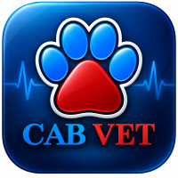 Iconiță CAB-VET MOBILE